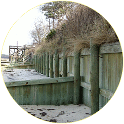 The retaining wall along the beach